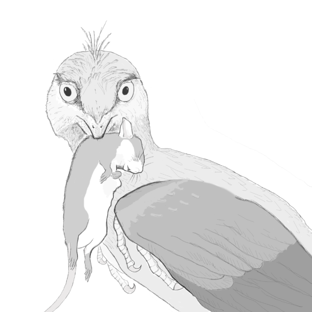 Illustration de Microraptor et rongeur