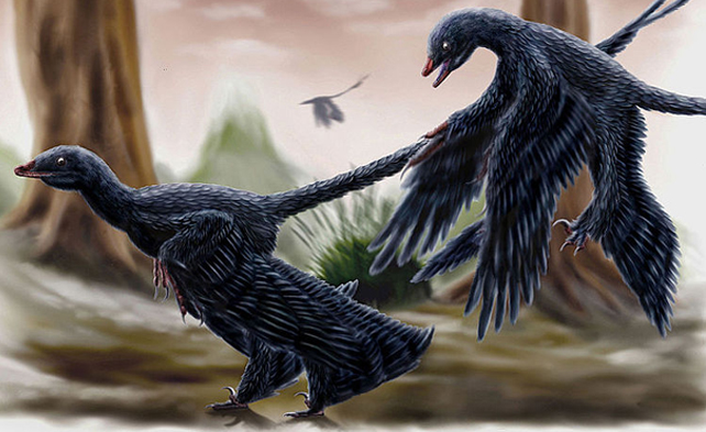 illustration of two microraptors