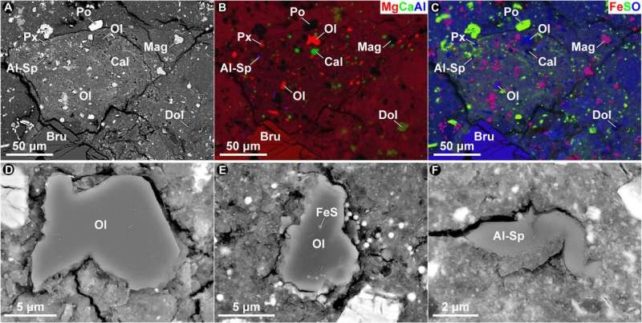 Isotopes in ryugu