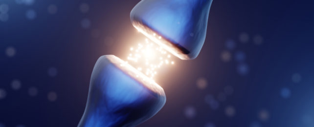 Millions of 'Silent Synapses' Could Be The Key to Lifelong Learning