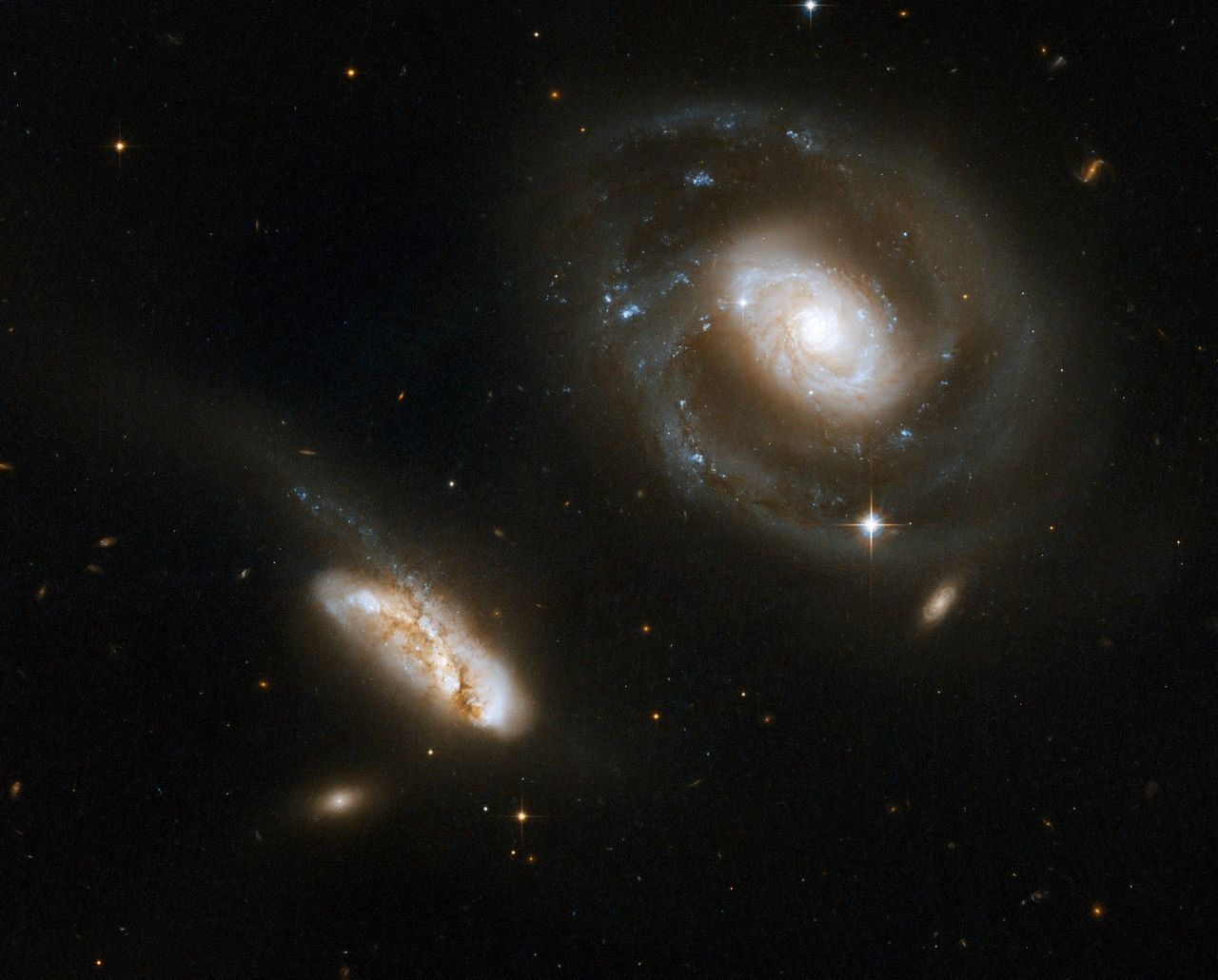 Stunning jwst photo transforms a distant galaxy into a sparkling