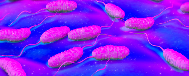 pink and blue computer generated image of rod shaped bacteria with flagella