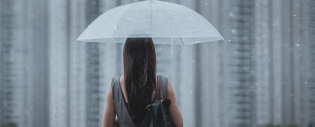 Woman from behind with a clear plastic umbrella