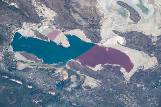 Algae bloom produces red colored water in the Great Salt Lake
