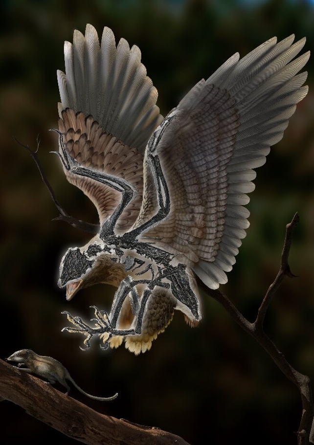 Imprimare antică cu păsări fosile