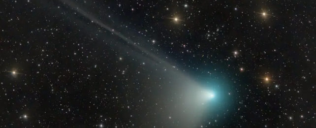 A Rare Green Comet Can Be Seen in The Sky, And It May Be Our Last Chance CometZTFBlazingBlueTrailingWhiteAcrossStarscape-642x260