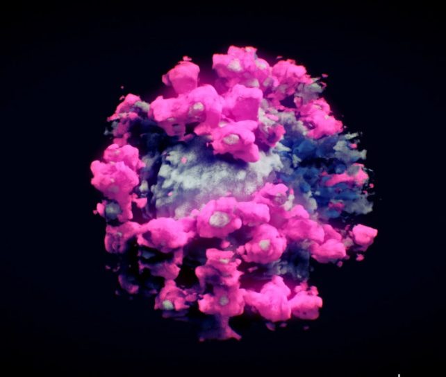 Pink blots on a blue blob on a black background.