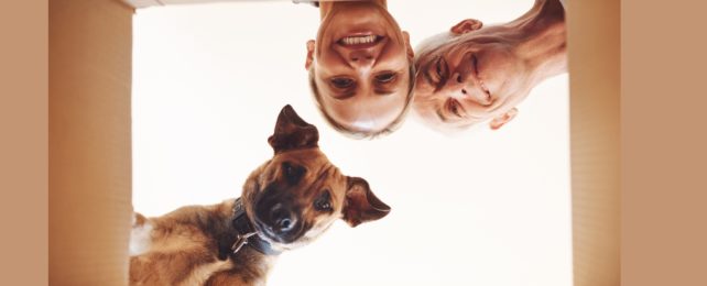 What's With All The Dead Animals That Our Pets Bring Us?