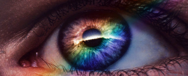 Human eye