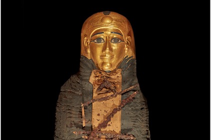 Image de la momie 'Golden Boy' portant un masque doré, étroitement enveloppée dans un tissu de couleur marron.  Sur sa poitrine se trouvent des fougères séchées.