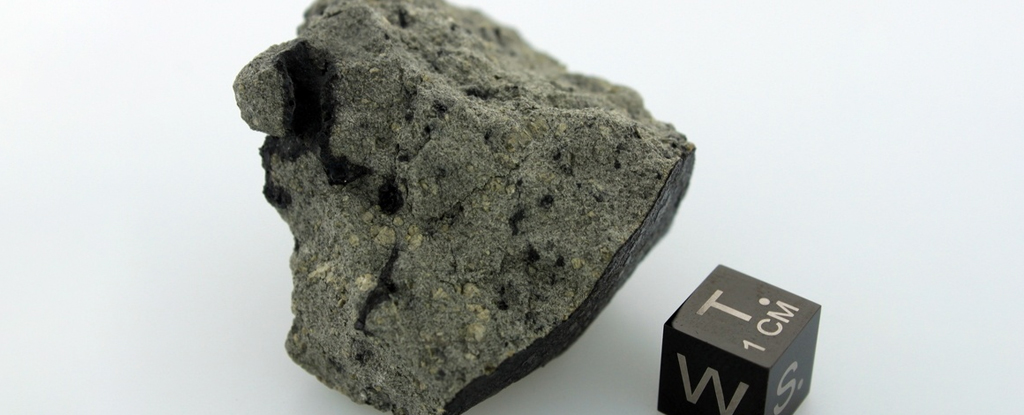 Intriguing Meteorite From Mars Reveals 'Huge Organic Diversity', Scientists Say