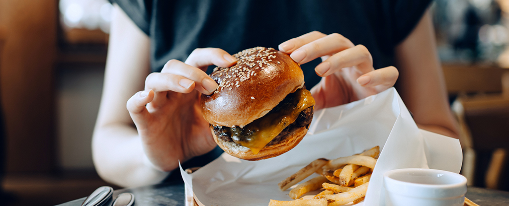 Las dietas ricas en grasas pueden afectar la capacidad del cerebro para regular las calorías : Heaven32