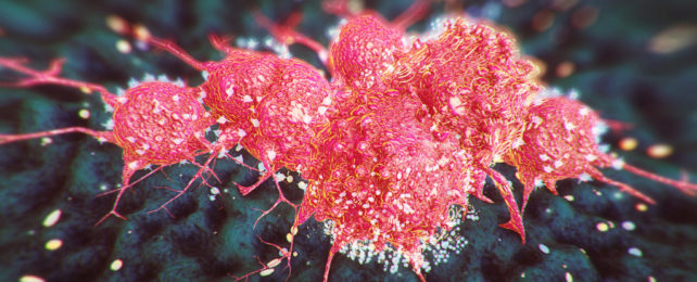 An illustration of cancer cells.
