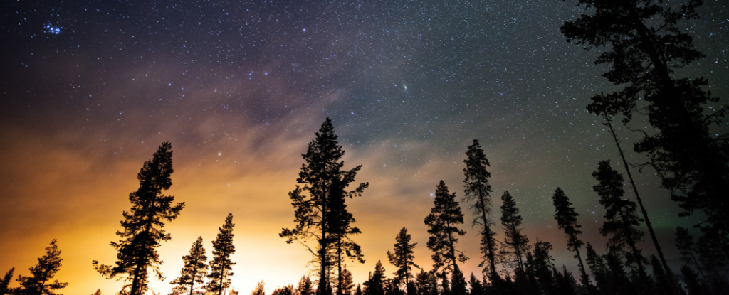 Light pollution on horizon behind the silhouette of a Swedish forest
