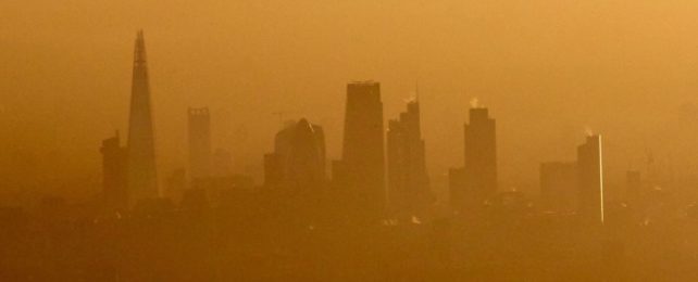 Inhaling Car Fumes Can Change a Brain's Connectivity in Just 2 Hours, Study Finds
