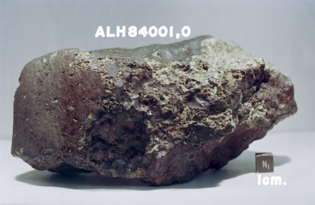 Chunk of brownish grey rock with cube 1 cm marker to show size.