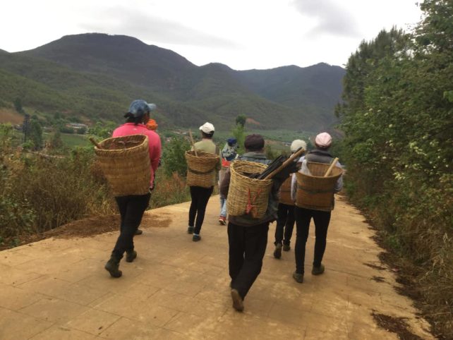 Un groupe d'hommes portant des paniers tressés sur leur dos