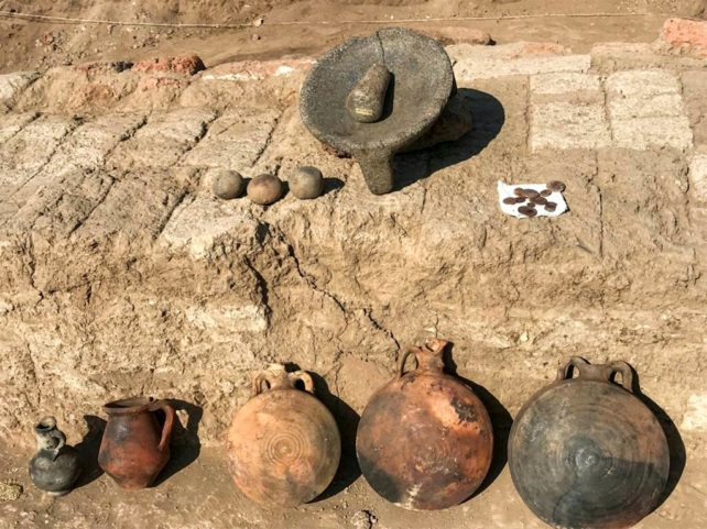 Row of pottery and other artefacts found at dig.