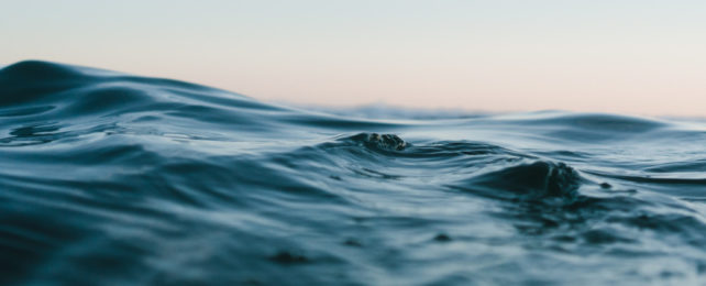 Close up image of smooth ocean surface with pinkish sky in background.