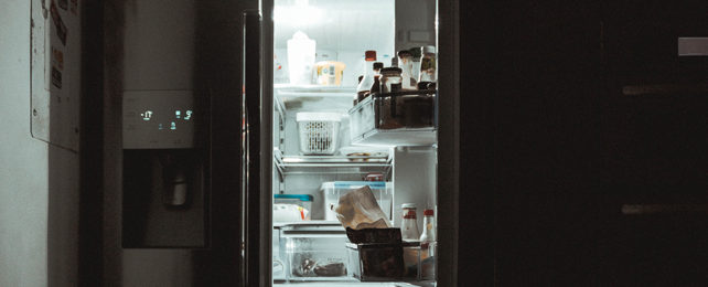 An open fridge