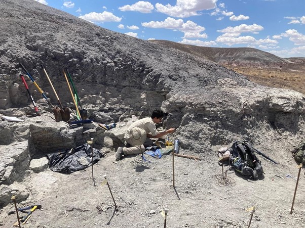 Paleontologist excavating a fossil bed on a blue, cloudy day.