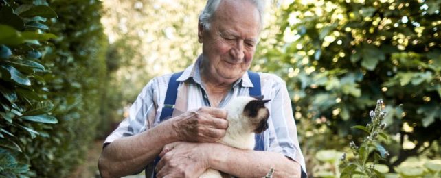 Pets Help to Protect Your Brain as You Get Older, Study Suggests