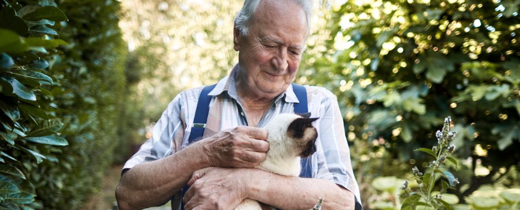 Pets Help to Protect Your Brain as You Get Older, Study Suggests