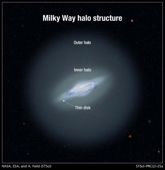 A diagram showing the anatomy of the Milky Way's halo structure including outer and inner halos and thin disk