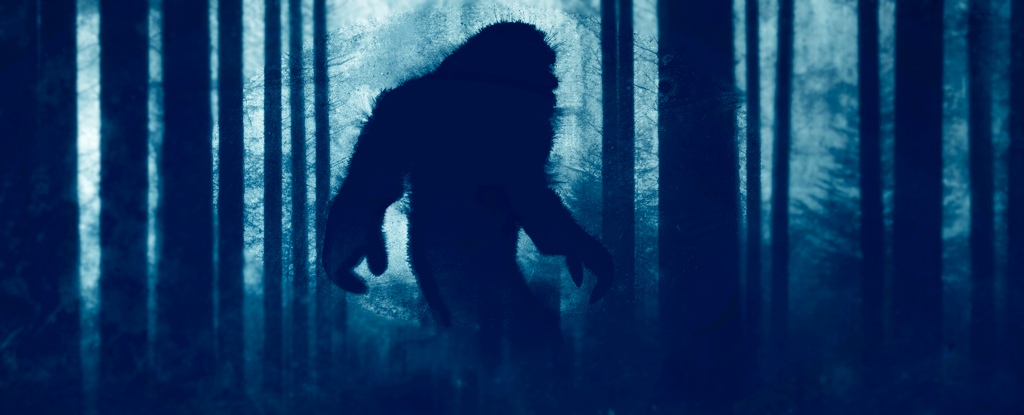 Photo of Bigfoot Has a Very