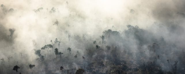 Smoke Obscures The Amazon Rainforest