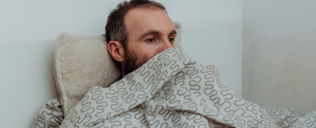 Unhappy looking bearded man wrapped in bed covers with only the top of his face exposed