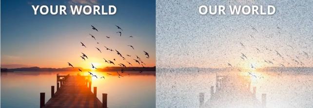 This graphic showcases a sunset image seen with the vision of someone without visual-snow syndrome, on the left, and the vision of someone with visual snow, on the right