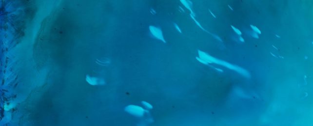 Mysterious White Clouds Keep Popping Up Near The Bahamas, And No One Knows Why