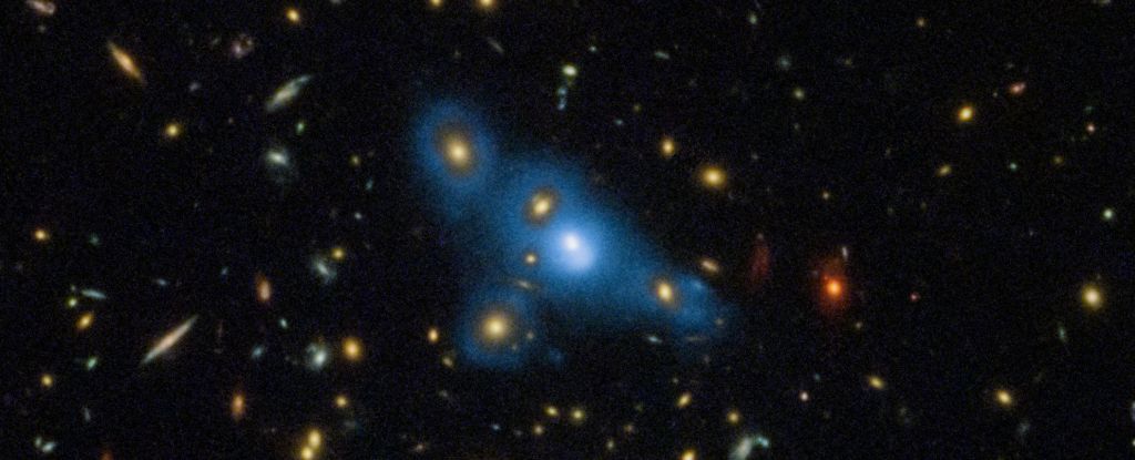 Ghost Light From Homeless Stars Glimmered Even in The Early Universe