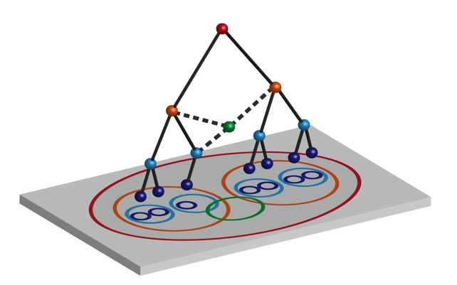 neuron groups hierarchy