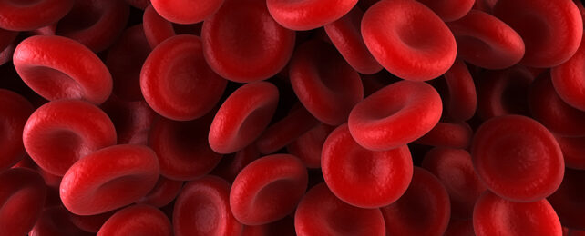 Red blood cells