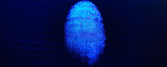 There's an Amazing Link Between Zebra Stripes And How Our Fingerprints Grow