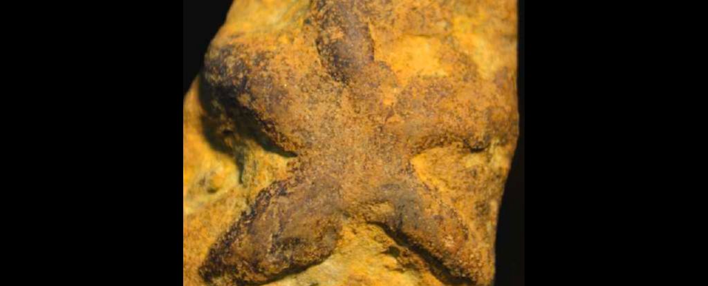 This Strange Ancient 'Fossil' May Not Have Been Left by Any Living Thing
