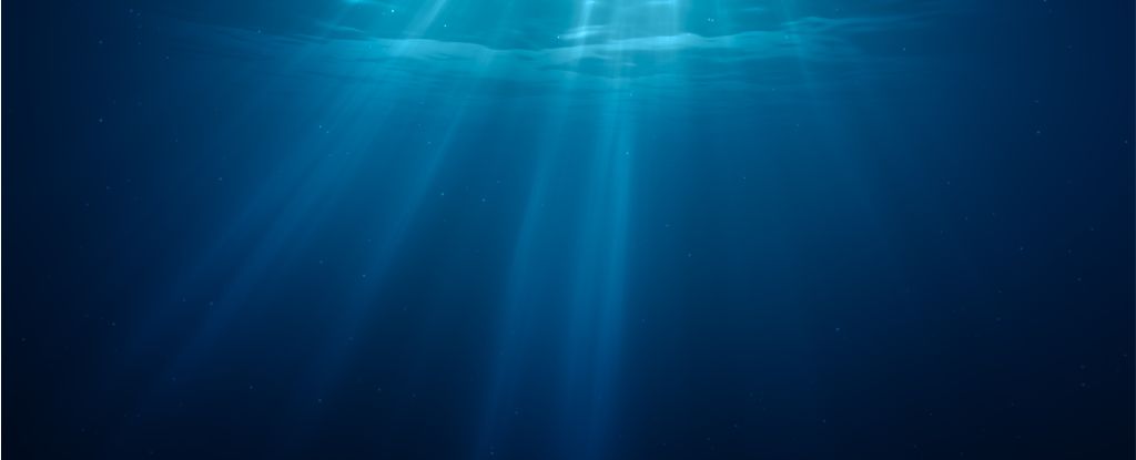 Más vida de la que nos imaginamos podría sobrevivir en la profunda oscuridad del océano: Heaven32