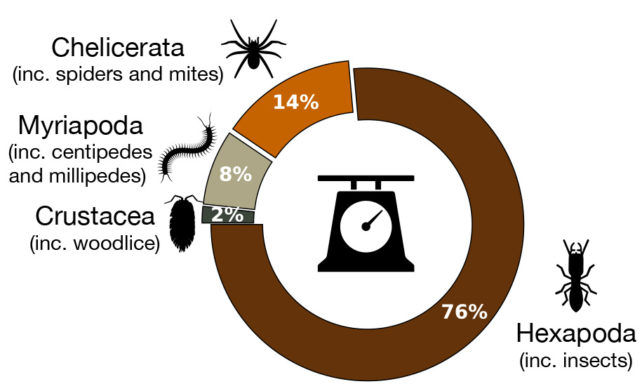 Pie chart showing the biomass distribution of different groups of arthropods