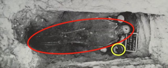 A Nail Hole in This Roman Skull May Have Been an Outdated Public Health Measure