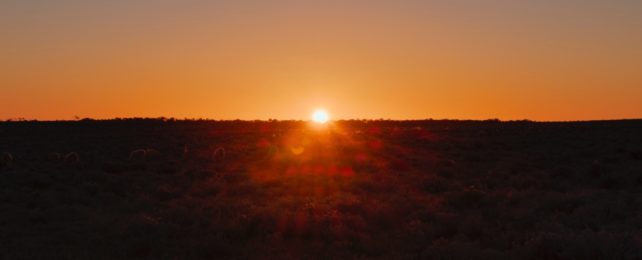 Sun Rises In Desert