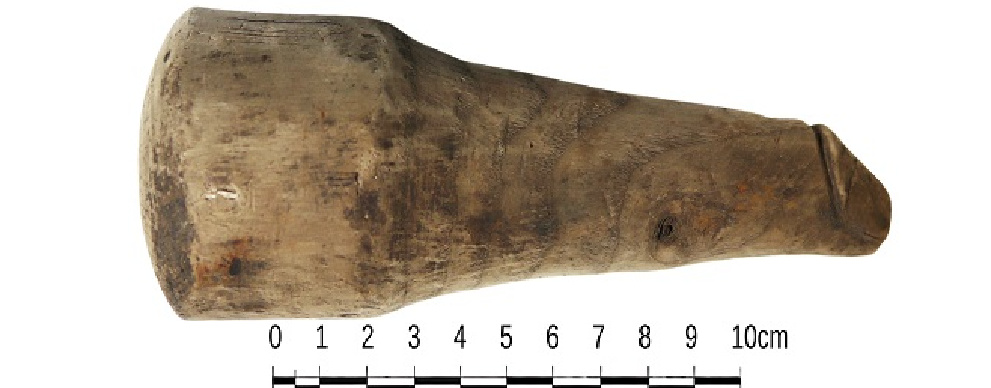 The wooden phallus with ruler