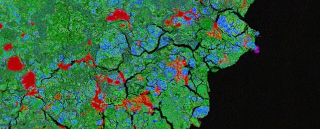 Our Planet Appears to Immediately Contaminate Meteorites Upon Arrival