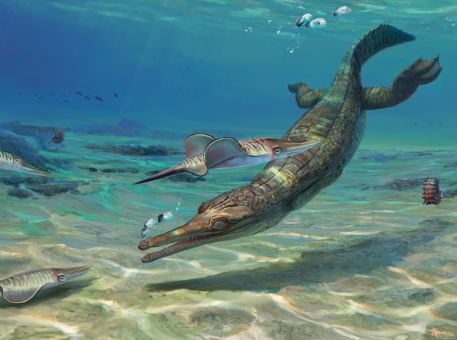 Marine Crocodile Illustration