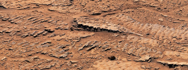 Rippled rocks on the surface of Mars