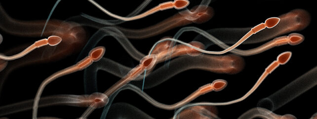 cgi image of sperm with red colouration on black background