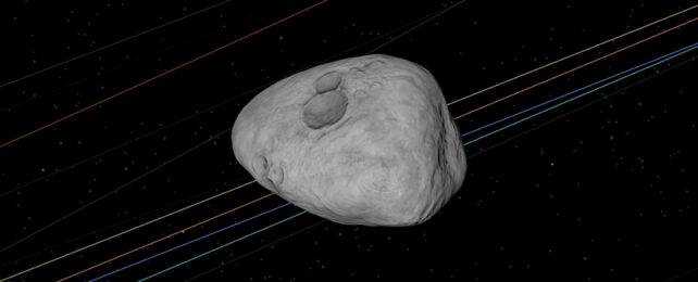 Asteroid 2023 DW