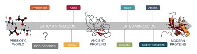 Amino acids