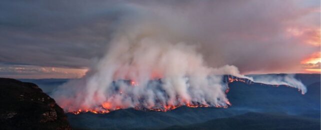 Wildfire Smoke Stands to Deplete The Ozone Layer, Scientists Warn